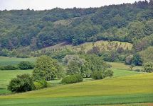3 Iberg bei Hoerle